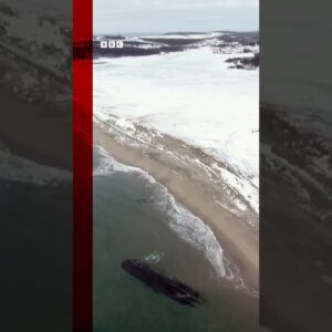 Ghostly shipwreck appears on beach of Cape Ray in Newfoundland, Canada. #Shorts #Canada #BBCNews