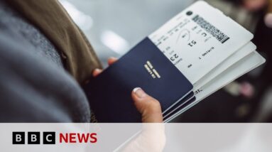Henley Passport Index names 2024's most powerful passports | BBC News