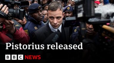 Oscar Pistorius released on parole 11 years after killing Reeva Steenkamp | BBC News