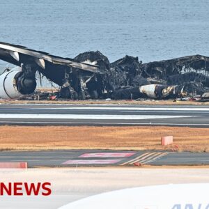 Japan Airlines: Airbus to assist investigation into jet crash | BBC News