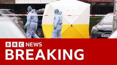 Man with crossbow shot dead by armed police in London | BBC News