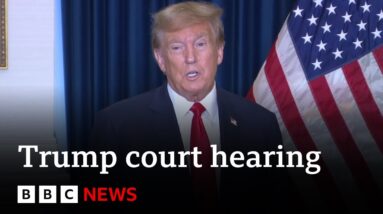 Donald Trump speaks following appeals court hearing on presidential immunity claim | BBC News