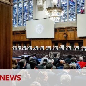Israel says South Africa distorting the truth in UN court Gaza genocide case - BBC News