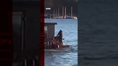 Sauna users came to the rescue after a Tesla plunged into an Oslo fjord. #Shorts #Norway #BBCNews