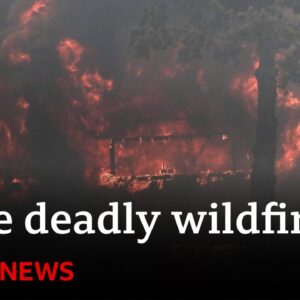 Chile forest fires: At least 51 dead, say officials | BBC News