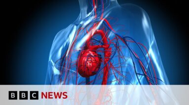 Could there soon be digital copies of your heart? | BBC News