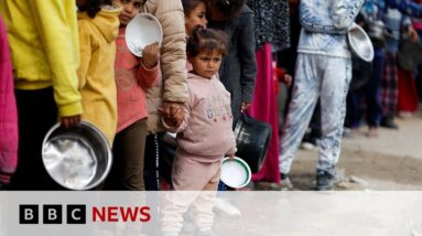 Gazans surviving off animal feed and rice as food dwindles | BBC News