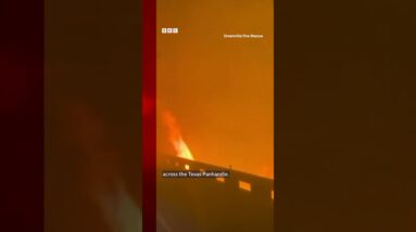 Fire truck drives through Texas wildfires. #Shorts #Texas #Wildfires #BBCNews