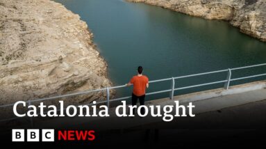 Catalonia: State of emergency declared as region faces worst ever drought | BBC News