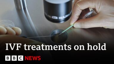 US hospital halts IVF after court says embryos are children | BBC News