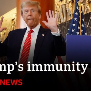 What’s next after Donald Trump's failed immunity appeal? | BBC News