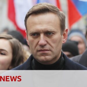Who was Alexei Navalny? | BBC News