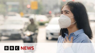 Thailand: 10 million people suffer pollution-related illnesses in 2023 | BBC News