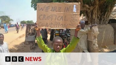 Nigeria: At least 28 escape after nearly 300 schoolchildren abducted | BBC News