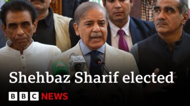 Pakistan's parliament elects Shehbaz Sharif for second term as prime minister | BBC News