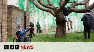 Banksy: Artist confirms new London tree mural is his own work | BBC News