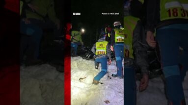 Bear filmed during attack in Slovak town. #Slovakia #Shorts #BBCNews