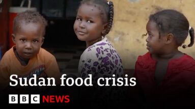 Millions face starvation in Sudan as warring factions block aid delivery | BBC News