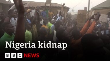 Nigerian officials continue search for more than 280 abducted pupils | BBC News