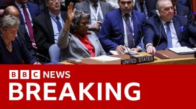 UN Security Council calls for 'immediate ceasefire' in Gaza after US abstains from vote | BBC News