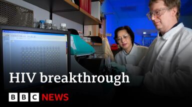 Scientists say they can cut HIV out of cells | BBC News