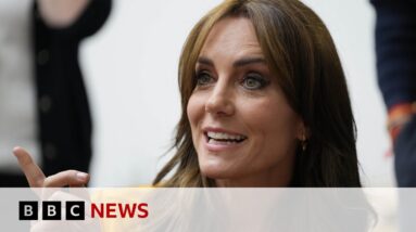 Kate privacy breach assessed over claims staff accessed private health information | BBC News