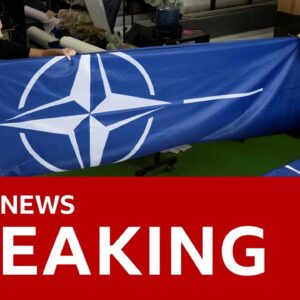 Sweden formally joins Nato military alliance | BBC News