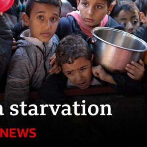 Evidence that Israel is using starvation as weapon of war in Gaza says UN  | BBC News