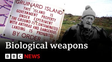Britain's mysterious WW2 'island of death' | BBC News