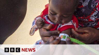 Sudan: 'Catastrophic' hunger crisis warning in war-ravaged country | BBC News