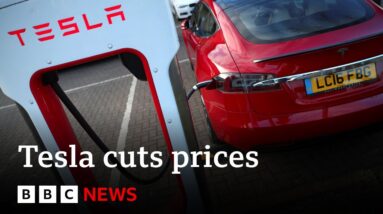Elon Musk's Tesla cuts prices in major markets as sales fall | BBC News