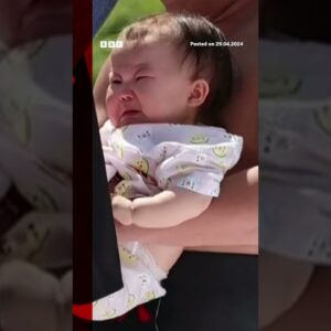 Inside Nakizumo, Japan's 'crying baby sumo' festival. #Shorts #Japan #BBCNews