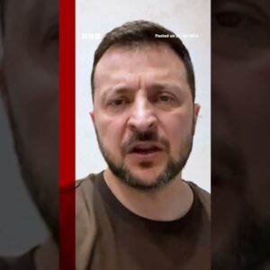 The US House approves crucial $61bn military aid package for Ukraine. #US #Ukraine #Shorts