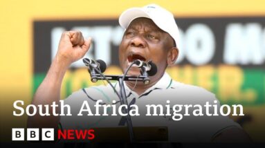 South African elections: Rising tension over illegal migration | BBC News