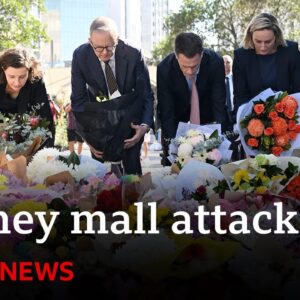 Sydney mall attacker who killed six identified by police | BBC News