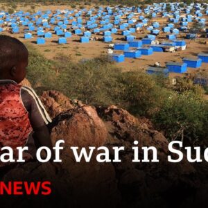 Sudan: Millions driven to extreme hunger in war-ravaged country | BBC News