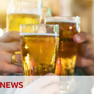 How beer is used to make alternative leather | BBC News