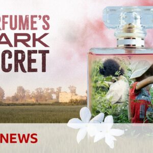 Luxury perfumes linked to child labour, BBC finds | BBC News