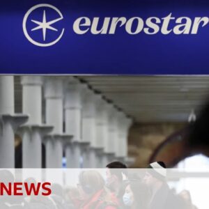 New EU fingerprint travel rules due to start in October | BBC News