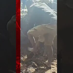 Papua New Guinea fears thousands buried after landslide. #Landslide #Enga #BBCNews