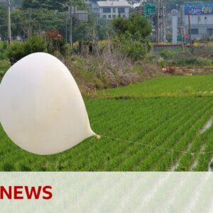 South Korea to resume loudspeaker broadcasts over North Korea border in balloon row | BBC News
