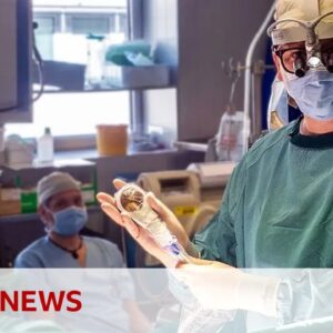 ‘Space hairdryer’ regenerates heart tissue in study | BBC News