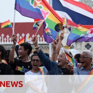 Thailand senate approves same-sex marriage bill | BBC News