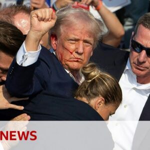 How the attempted assassination of Donald Trump unfolded | BBC News