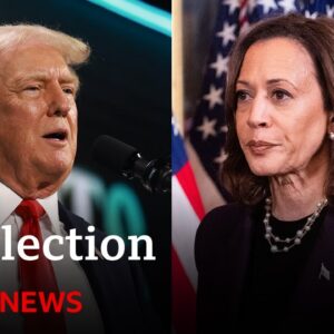 Kamala Harris closing gap on Donald Trump in US election race | BBC News