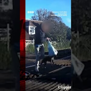 Near misses filmed at UK train crossings. #Trains #CCTV #BBCNews