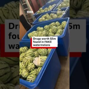 $5m of meth inside fake watermelons at US-Mexico border. #US #Mexico #BBCNews