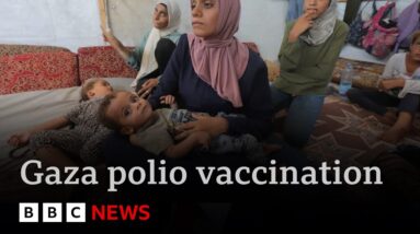 Israel agrees pauses in Gaza fighting to allow polio vaccination of children | BBC News