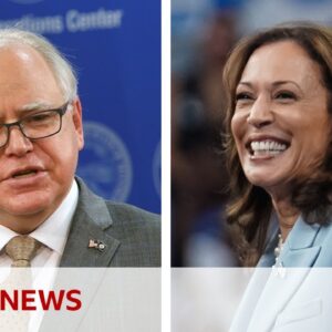 Kamala Harris picks Minnesota Governor Tim Walz as running mate for US election | BBC News
