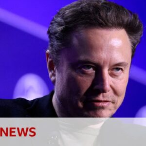 Elon Musk's X under pressure amid Brazil ban | BBC News